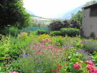Hausgarten  &ndash; &copy; Martina Häselbarth (Eberhardt TRAVEL)