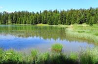 Felixer Weiher &ndash; &copy; Martina Häselbarth (Eberhardt TRAVEL)