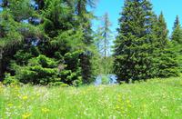 Felixer Weiher &ndash; &copy; Martina Häselbarth (Eberhardt TRAVEL)