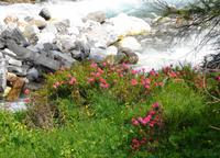 Passeiertal &ndash; &copy; Martina Häselbarth (Eberhardt TRAVEL)