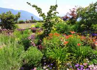 Garten  &ndash; &copy; Martina Häselbarth (Eberhardt TRAVEL)