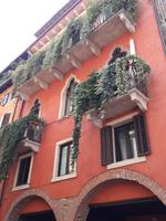 6_Verona_Impressionen &ndash; &copy; Walburga Lindner (Eberhardt TRAVEL)