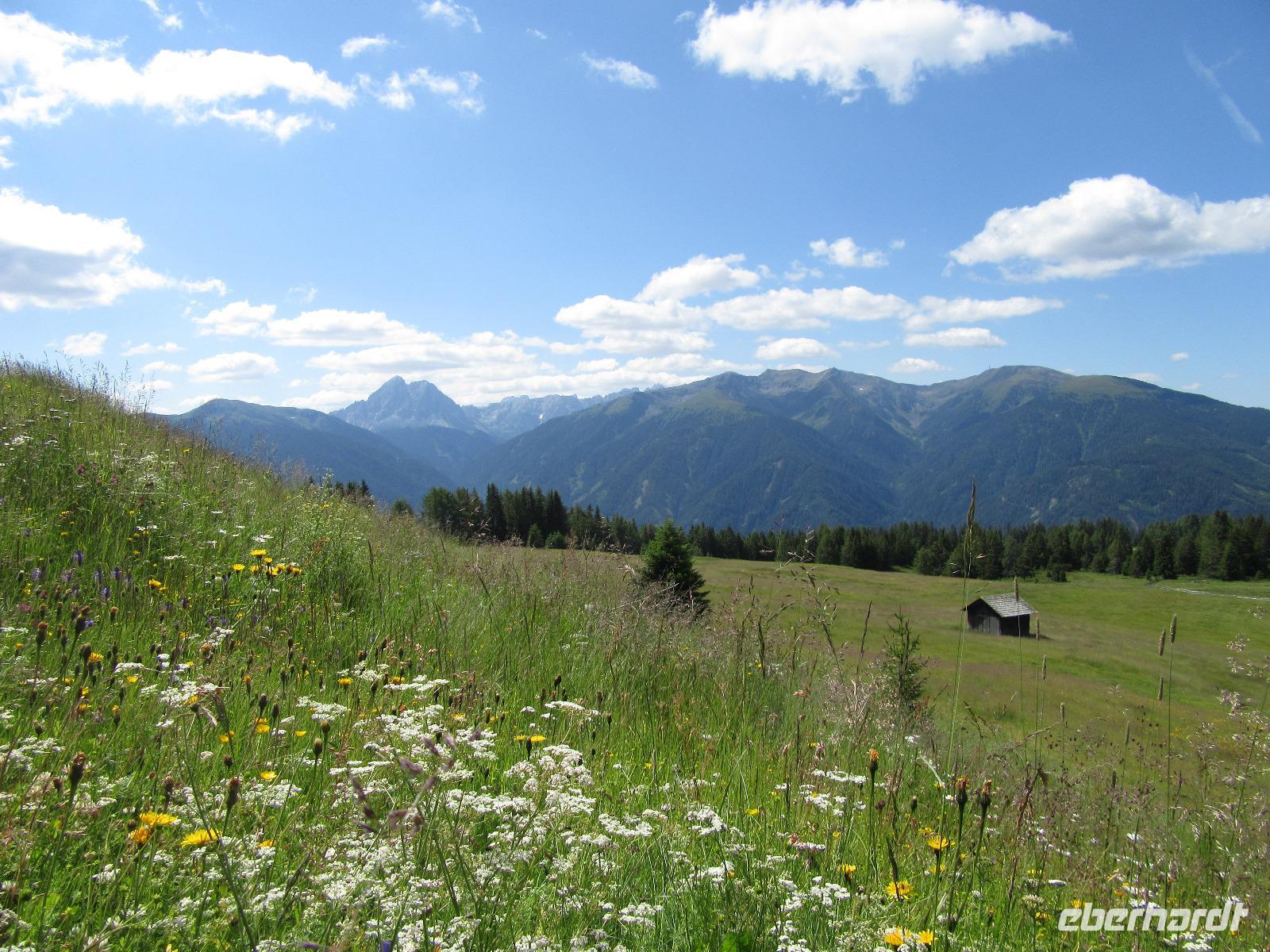 Almenrausch &ndash; &copy; Doreen Päßler (Eberhardt TRAVEL)