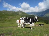 Wanderung auf dem Ratschinger Almenweg &ndash; &copy; Doreen Päßler (Eberhardt TRAVEL)