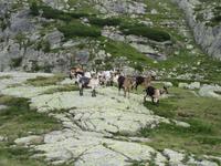 Bergziegenvolk &ndash; &copy; Doreen Päßler (Eberhardt TRAVEL)