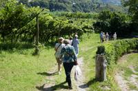 P1010439 &ndash; &copy; Philipp Schmitz (Eberhardt TRAVEL)