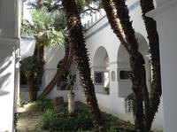 Innenhof Villa Munte Anacapri