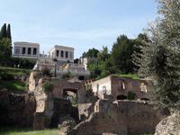 11_Rom_Forum_Romanum &ndash; &copy; Walburga Lindner (Eberhardt TRAVEL)