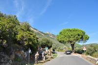 Wanderreise Elba IT-WAELB-29 &ndash; &copy; Martin Büchner (Eberhardt TRAVEL)