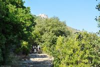 Wanderreise Elba IT-WAELB-30 &ndash; &copy; Martin Büchner (Eberhardt TRAVEL)