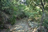 Wanderreise Elba IT-WAELB-31 &ndash; &copy; Martin Büchner (Eberhardt TRAVEL)