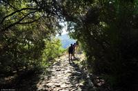 Wanderreise Elba IT-WAELB-32 &ndash; &copy; Martin Büchner (Eberhardt TRAVEL)