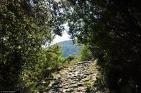 Wanderreise Elba IT-WAELB-33 &ndash; &copy; Martin Büchner (Eberhardt TRAVEL)