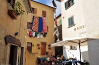 Wanderreise Elba IT-WAELB-44 &ndash; &copy; Martin Büchner (Eberhardt TRAVEL)