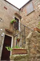 Wanderreise Elba IT-WAELB-45 &ndash; &copy; Martin Büchner (Eberhardt TRAVEL)