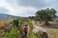 Wanderreise Elba IT-WAELB-62 &ndash; &copy; Martin Büchner (Eberhardt TRAVEL)
