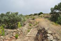 Wanderreise Elba IT-WAELB-63 &ndash; &copy; Martin Büchner (Eberhardt TRAVEL)