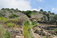 Wanderreise Elba IT-WAELB-65 &ndash; &copy; Martin Büchner (Eberhardt TRAVEL)