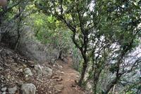 Wanderreise Elba IT-WAELB-76 &ndash; &copy; Martin Büchner (Eberhardt TRAVEL)