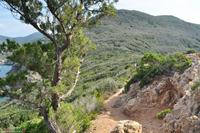 Wanderreise Elba IT-WAELB-86 &ndash; &copy; Martin Büchner (Eberhardt TRAVEL)
