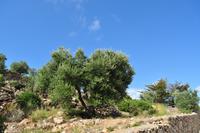 Tag 03 IT-WAELB (38) &ndash; &copy; Martin Büchner (Eberhardt TRAVEL)