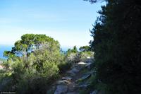 Tag 06 Monte Capanne IT-WAELB (14) &ndash; &copy; Martin Büchner (Eberhardt TRAVEL)