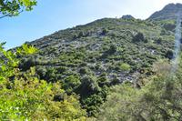 Tag 06 Monte Capanne IT-WAELB (17) &ndash; &copy; Martin Büchner (Eberhardt TRAVEL)