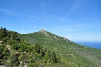 Tag 06 Monte Capanne IT-WAELB (23) &ndash; &copy; Martin Büchner (Eberhardt TRAVEL)