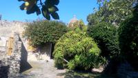 Ischia Ponte, Castello Aragonese &ndash; &copy; Gisela Gerlach (Eberhardt TRAVEL)