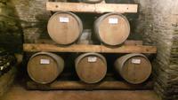 Weingut 