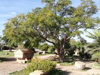 Selinunte &ndash; &copy; Steffi Zimmermann (Eberhardt TRAVEL)