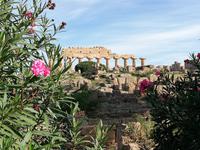 Selinunte &ndash; &copy; Steffi Zimmermann (Eberhardt TRAVEL)