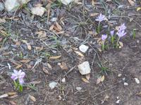 4.36 &ndash; &copy; Birgit Hornung (Eberhardt TRAVEL)