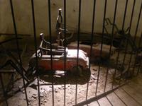 P1040536 &ndash; &copy; Birgit Hornung (Eberhardt TRAVEL)