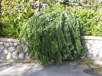 P1040619 &ndash; &copy; Birgit Hornung (Eberhardt TRAVEL)