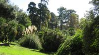 Caserta Schloss - Englischer Garten &ndash; &copy; Petra Sauer (Eberhardt TRAVEL)