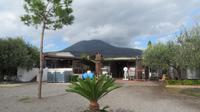 Weingut Cantina del Vesuvio ... und der Nebel lichtet sich ..ö &ndash; &copy; Petra Sauer (Eberhardt TRAVEL)