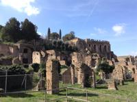 im Forum Romanum &ndash; &copy; Uta Schöne (Eberhardt TRAVEL)