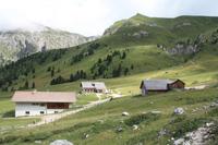 Gampen Alm &ndash; &copy; Nicole Hickmann (Eberhardt TRAVEL)