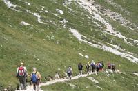 im Edelweißtal &ndash; &copy; Nicole Hickmann (Eberhardt TRAVEL)