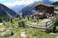 Seeberg Alm &ndash; &copy; Nicole Hickmann (Eberhardt TRAVEL)