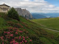 Seiser Alm &ndash; &copy; Petra Sauer (Eberhardt TRAVEL)