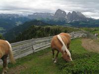 Seiser Alm &ndash; &copy; Petra Sauer (Eberhardt TRAVEL)