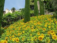 Garten Trauttmansdorff &ndash; &copy; Petra Sauer (Eberhardt TRAVEL)
