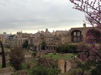 Forum Romanum &ndash; &copy; Uta Schöne (Eberhardt TRAVEL)