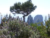 P1090724 &ndash; &copy; Margret van Blokland (Eberhardt TRAVEL)