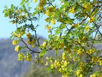 P1090845 &ndash; &copy; Margret van Blokland (Eberhardt TRAVEL)