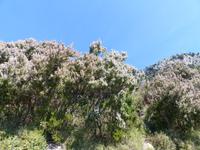 P1090862 &ndash; &copy; Margret van Blokland (Eberhardt TRAVEL)