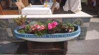 Blumenkasten, Piran, Slowenien &ndash; &copy; Simone Willner (Eberhardt TRAVEL)