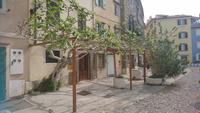 Feigenbaum, Piran, Slowenien.  &ndash; &copy; Simone Willner (Eberhardt TRAVEL)